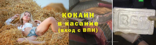 твердый Алексеевка