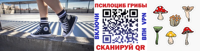 Псилоцибиновые грибы прущие грибы  Пролетарск 